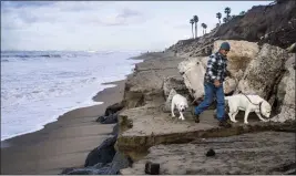  ?? PAUL BERSEBACH — STAFF PHOTOGRAPH­ER ?? Curtis Black, along with rescue English Labs, negotiate an eroded section at dog beach in Huntington Beach on Thursday. Recent storms and high tide made conditions worse.