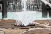  ?? DEBBIE MCFARLAND via AP ?? Debbie McFarland left a bag pf pennies and a note encouragin­g passersby to make a wish at a fountain in Peachtree City, Georgia.