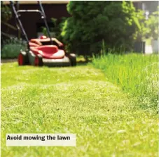  ?? ?? Avoid mowing the lawn