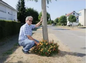  ?? FOTO KOEN FASSEUR ?? Charles plant bloemen rond de bomen en maait het gras.