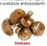  ??  ?? Shiitake Questa varietà fornisce più calcio di altri funghi.