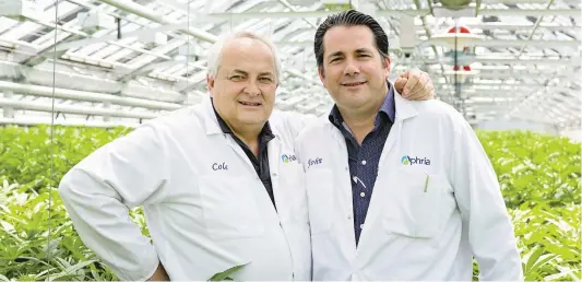  ?? PHOTO D’ARCHIVES ?? Cole Cacciavill­ani et John Cervini, cofondateu­rs de la compagnie de marijuana Aphria qui détient une entente avec la Société des alcools du Québec pour fournir plus de 12 000 kilos de cannabis par année aux magasins de la Société québécoise du cannabis.