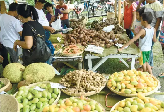  ?? (SUN.STAR FOTO/ALLAN DEFENSOR) ?? AGRI FAIR. Alegria Municipal Government promotes organic farming by launching last Wednesday its first Organic Congress. It is among the activities lined up leading to the town’s annual fiesta today.