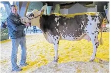  ??  ?? Grande championne 2016 : Gamine au Gaec de la Lamberdièr­e - Gaec Cahorel.