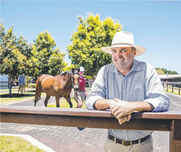  ?? Picture: JERAD WILLIAMS ?? Outgoing Magic Millions managing director Vin Cox at the Bundall sales complex yesterday ahead of the yearlings auction starting tomorrow.