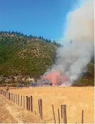  ??  ?? A photo circulatin­g on social media shows flames erupting near where a tractor and disc plough were operating in Pigeon Valley, shortly before a massive forest fire began.