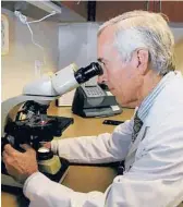  ?? ROBIN B. PANETHERE/ATLANTA ALLERGY & ASTHMA ?? Dr. Stanley Fineman peers through a microscope to examine pollen.“Pollen really follows the temperatur­e. There’s not a question.”