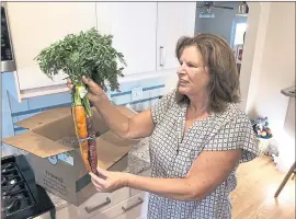  ?? RYAN NAKASHIMA — THE ASSOCIATED PRESS ?? Maureen Blaskovich of San Jose examines rainbow carrots delivered to her by a self-driving vehicle. AutoX is partnering with grocery delivery startup GrubMarket in a pilot service.