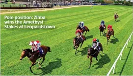  ??  ?? Pole position: Zihba wins the Amethyst Stakes at Leopardsto­wn RUBY WALSH is hoping to be given the green light to return to the saddle for next weekend’s top-class meeting at Auteuil. The leading rider has been out since breaking his leg at the...