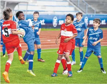  ??  ?? Der VfB Stuttgart und der VfB Friedrichs­hafen werden in Zukunft in der Jugend eng zusammenar­beiten.