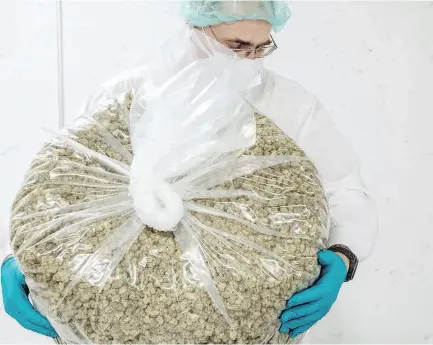  ?? GALIT RODAN / BLOOMBERG ?? While legal marijuana has been seen as a boon for government revenue, in Ontario, Canada’s singlelarg­est pot market, government-run stores are expecting losses of $48 million over the first two years.