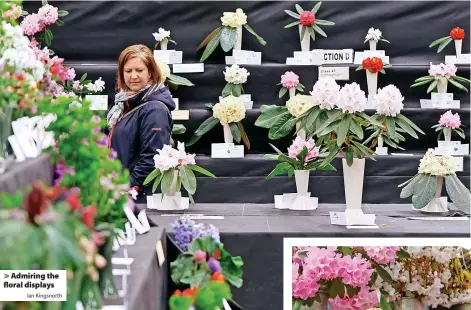  ?? Ian Kingsnorth ?? > Admiring the floral displays