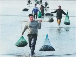  ?? XINHUA ?? Fishermen carry fresh shellfish netted from the sea in Dalian, Liaoning province.