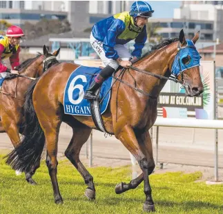  ?? Picture: JERAD WILLIAMS ?? Jet Train, with Luke Rolls aboard, after an earlier Gold Coast win.