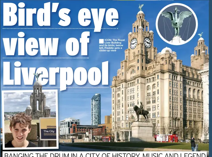  ??  ?? ICON: The Royal Liver Building and its birds; below left, Freddie gets a close-up view