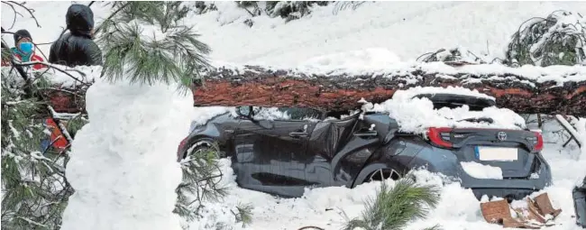  ?? EP ?? Un vehículo aplastado por un árbol durante la gran nevada provocada por la borrasca Filomena, en Madrid, el pasado 9 de enero