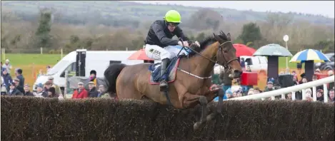  ??  ?? Tellmesome­thinggirl, and Barry O’Neill, taking the final jump to win the first race in Ballinaboo­la on Sunday.