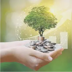  ?? ?? Greening your money (photo: Shuttersto­ck)
