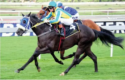  ?? Picture: JC Photograph­ics. ?? FORM: Premier Show is in hot form at the moment and could bring up a hat trick in Race 9 over 1200m at the Vaal tomorrow.