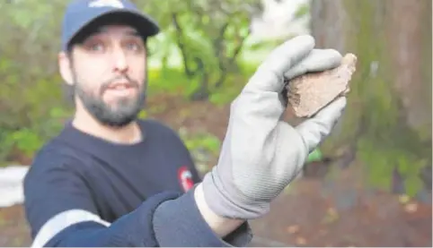  ?? // MIGUEL MUÑIZ / EFE ?? Arriba, el sarcófago de Xoán Mariño de Soutomaior, que se abrirá el próximo lunes en Vilaxoán. Abajo, un resto óseo obtenido en Poyo, también en Pontevedra