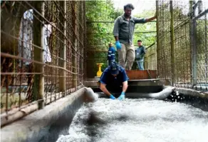  ?? UCR ?? La crisis por agua contaminad­a con hidrocarbu­ro se inició el 22 de enero y afectó a pobladores de Tibás, Moravia y Goicoechea.