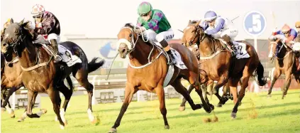  ?? Picture: JC Photograph­ics ?? EXCITEMENT. Turffontei­n will erupt tomorrow if Takingthep­eace wins the Grade 2 SA Oaks and captures the Wilgerbosd­rift Triple Tiara.