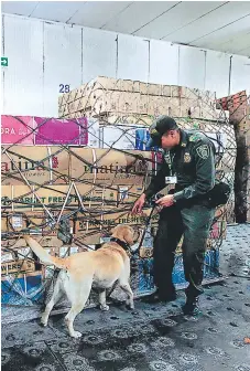  ?? FOTO: AGENCIA AP ?? Las autoridade­s utilizan perros para evitar que se oculte droga entre los productos o maletas que salen e ingresan a Colombia.