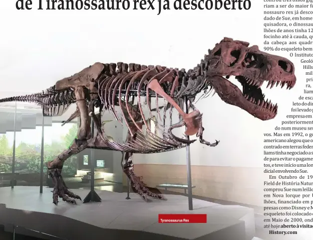  ??  ?? Tyranossau­rus Rex