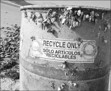  ?? KEITH MCGREAL VIA THE NEW YORK TIMES ?? A photo provided by Keith Mcgreal shows the trash can that floated to County Mayo in Ireland from Myrtle Beach, S.C. It is once again being used to collect trash, now at Mulranny Beach, Ireland, an ocean away from its intended perch.