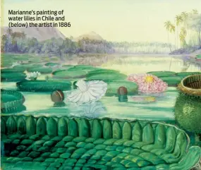  ??  ?? Marianne’s painting of water lilies in Chile and (below) the artist in 1886