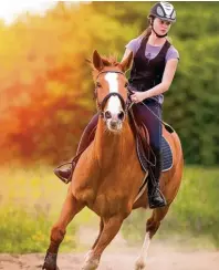  ?? Foto: Dusan Kostic, Fotolia.com ?? In Niedersach­sen machen laut einer Umfrage der BTE Tourismus und Regionalbe­ratung die meisten Pferdefreu­nde Urlaub.