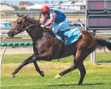  ??  ?? Paniagua, pictured at Doomben.