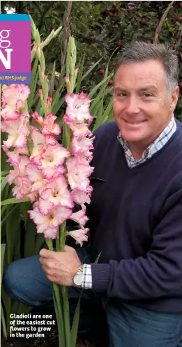  ??  ?? Gladioli are one of the easiest cut flowers to grow in the garden