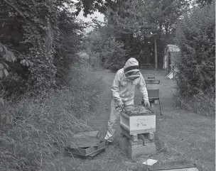  ?? JOSHUA BRIGHT/ THE WASHINGTON POST ?? Beekeeping is one of the many esoteric industries that will be affected by ‘Brexit,’ which will free the United Kingdom of European Union regulation­s that affect many products (including bees).