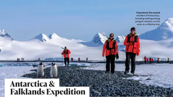  ?? ?? Experience the myriad wonders of Antarctica , including walking among penguin colonies, on this once-in-a-lifetime trip.