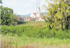  ?? FOTO: ANDREAS BRÜCKEN ?? Für Aufregung sorgte ein Vorschlag, die Bahntrasse südlich von Nersingen bauen zu lassen.