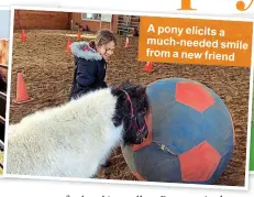  ??  ?? A pony elicits a much-needed smile from a new friend