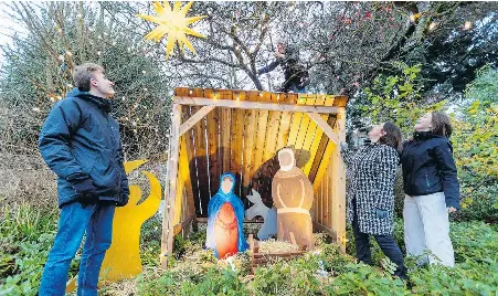  ?? DARREN STONE, TIMES COLONIST ?? Rev. Travis O’Brian climbs a tree to set up lights with, from left, Daniel Zavadil, Jasmin Aly-O’Brian and Antonia Scheumann at a nativity display outside St. Barnabas Anglican Church.