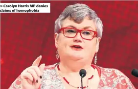  ??  ?? &gt; Carolyn Harris MP denies claims of homophobia