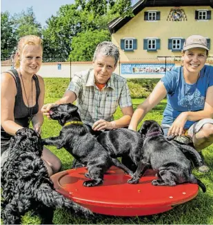  ?? BILDER: SN/CHRIS HOFER ?? Andrea Kainbacher, Elisabeth Färbinger (Bild links) und Kata Rille vom Verein Partnerhun­de suchen Gastfamili­en für ihre Hundewelpe­n. Später werden die Tiere zu Assistenzh­unden ausgebilde­t (Bilder rechts).
