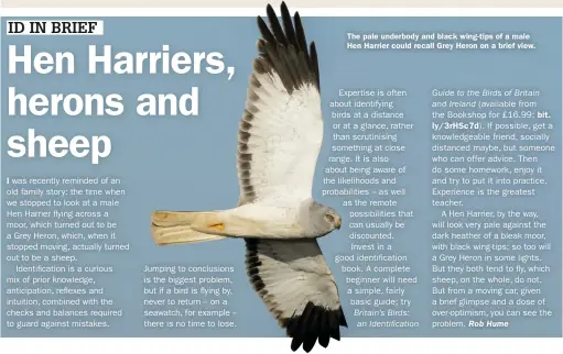  ??  ?? The pale underbody and black wing-tips of a male Hen Harrier could recall Grey Heron on a brief view.