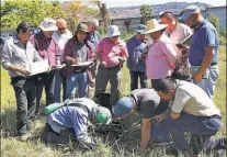  ??  ?? Entre los que brindaron las prácticas estuvieron los expertos en suelos José Tejada, Carlos Aguirre, Reinaldo Quirino y Cristóbal Betancourt.