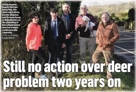  ?? Photo by Michelle Cooper Galvin ?? Gillian Hughes, Deputy Michael Healy Rae, Cllr. John Joe Culloty, Christy Sheehan and Terence Casey at Ballydowne­y on the main Ring of Kerry Road where deer are a major problem on the roadsides.