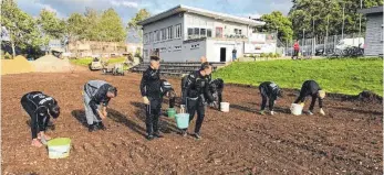  ?? FOTO: SV GOSHEIM ?? Auch der Arbeitsein­satz der Vereinsmit­glieder des SV Gosheim hilft, die Sanierungs­kosten des Rasenplatz­es zu senken.