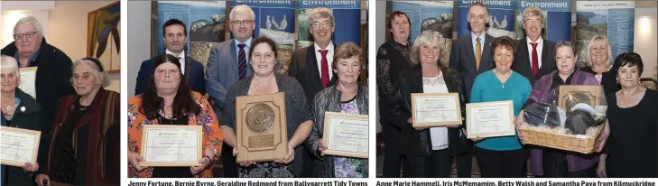  ??  ?? Jenny Fortune, Bernie Byrne, Geraldine Redmond from Ballygarre­tt Tidy Towns with the Best Community Waste Prevention Project first place award. Anne Marie Hammell, Iris McMemamim, Betty Walsh and Samantha Paya from Kilmuckrid­ge Tidy Towns with the Keep...