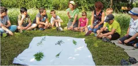  ?? Fotos: Till Hofmann ?? Erlebnisbä­uerin Ingeborg Farion (im Hintergrun­d in der Mitte) erklärt den Kindern, welche Wiesenkräu­ter sie auf der Decke vor sich haben. Vorne von rechts: Spitzweger­ich und Wiesen Bärenklau. Und hinten (von rechts): Löwenzahn und Roter Wiesenklee....