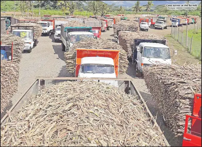  ?? Picture: ANISH CHAND/FILE ?? Cane lorries at the Ba mill.