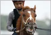  ?? JOHN MINCHILLO — THE ASSOCIATED PRESS ?? Rich Strike walks off the track after training before the 154th running of the Belmont Stakes, on Thursday in Elmont, N.Y.