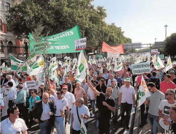  ?? JAIME GARCÍA ?? Concentrac­ión de olivareros frente a la sede del Ministerio de Agricultur­a, ayer en en Madrid