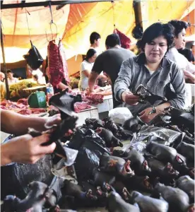  ??  ?? INDONESIA: This picture shows a vendor preparing bat meat for customers in Tomohon market in northern Sulawesi.—FP photos
